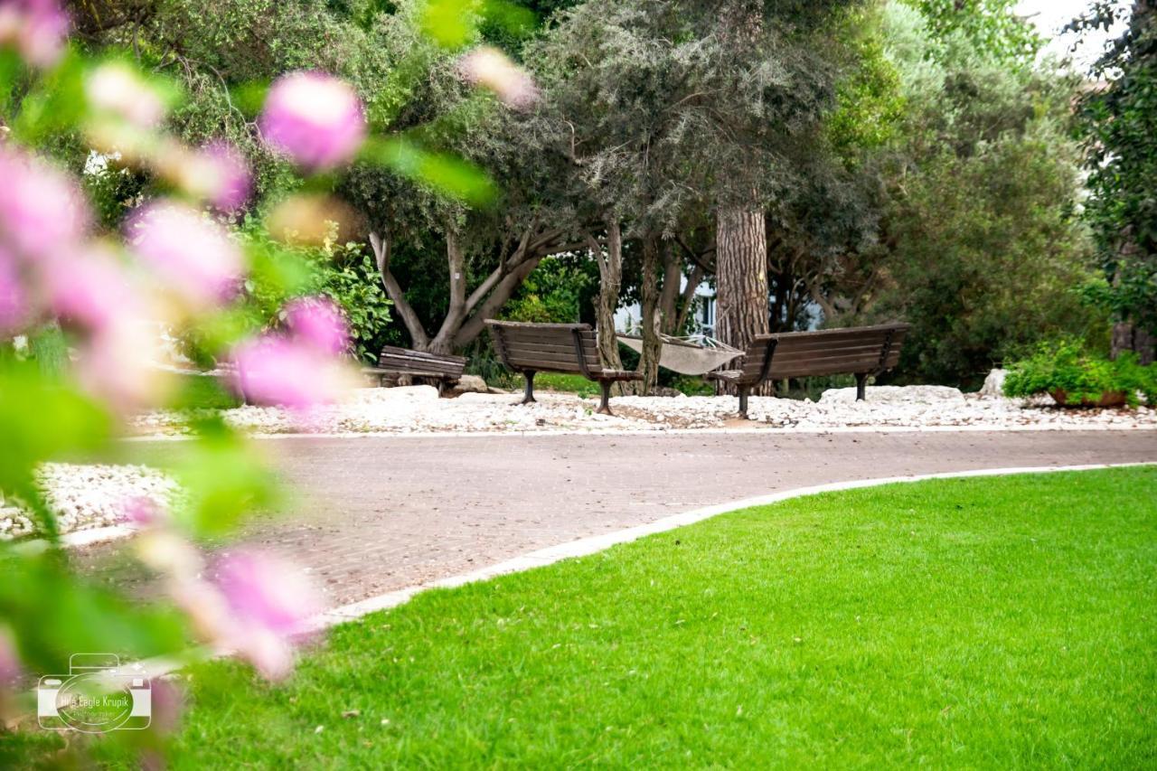 Eden Inn Zichron Ja’akow Kültér fotó