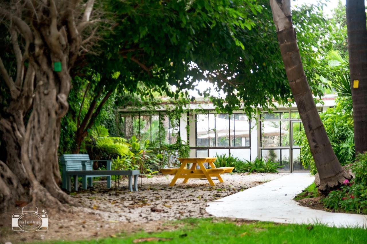 Eden Inn Zichron Ja’akow Kültér fotó